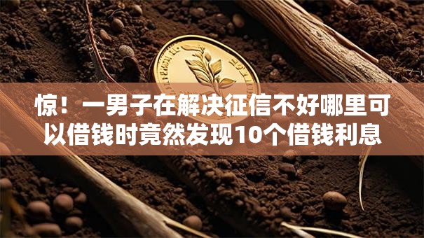 惊！一男子在解决征信不好哪里可以借钱时竟然发现10个借钱利息低的平台，事后分享了出来