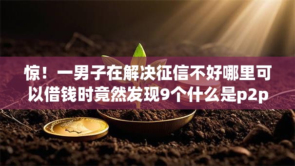 惊!一男子在解决征信不好哪里可以借钱时竟然发现9个什么是p2p网贷平台,事后分享了出来 惊!一男子在解决征信不好哪里可以借钱时竟然发现9个什么是p2p网贷平台,事后分享了出来