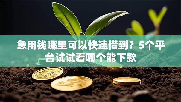 急用钱哪里可以快速借到？5个平台试试看哪个能下款