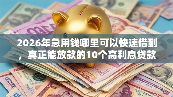 2026年急用钱哪里可以快速借到,真正能放款的10个高利息贷款平台推荐 2026年急用钱哪里可以快速借到,真正能放款的10个高利息贷款平台推荐