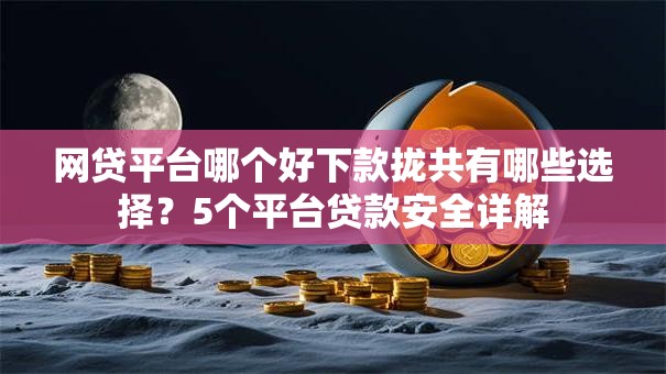 网贷平台哪个好下款拢共有哪些选择？5个平台贷款安全详解