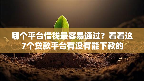 哪个平台借钱最容易通过?看看这7个贷款平台有没有能下款的 哪个平台借钱最容易通过?看看这7个贷款平台有没有能下款的