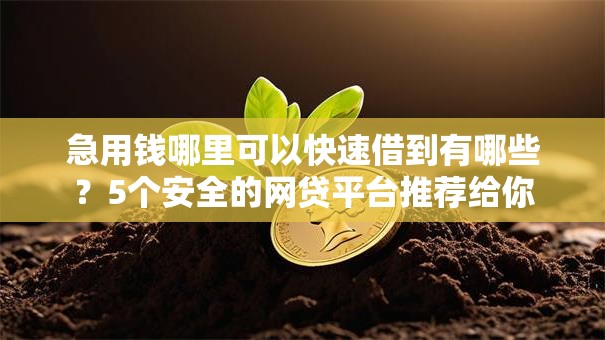 急用钱哪里可以快速借到有哪些?5个安全的网贷平台推荐给你 急用钱哪里可以快速借到有哪些?5个安全的网贷平台推荐给你