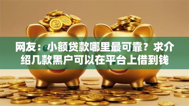 网友：小额贷款哪里最可靠？求介绍几款黑户可以在平台上借到钱