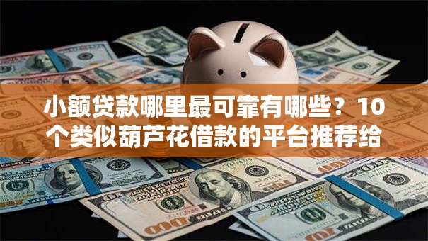 小额贷款哪里最可靠有哪些？10个类似葫芦花借款的平台推荐给你