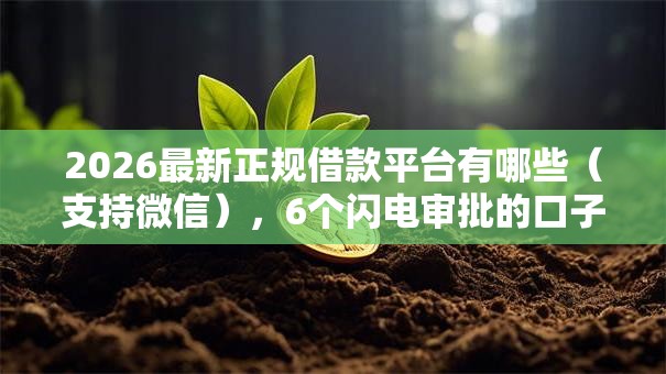 2026最新正规借款平台有哪些(支持微信),6个闪电审批的口子无私分享 2026最新正规借款平台有哪些(支持微信),6个闪电审批的口子无私分享