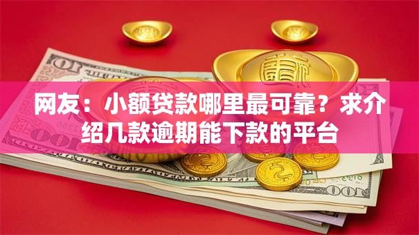 网友:小额贷款哪里最可靠?求介绍几款逾期能下款的平台 网友:小额贷款哪里最可靠?求介绍几款逾期能下款的平台