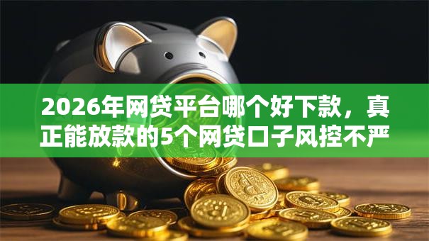 2026年网贷平台哪个好下款,真正能放款的5个网贷口子风控不严的口子推荐 2026年网贷平台哪个好下款,真正能放款的5个网贷口子风控不严的口子推荐