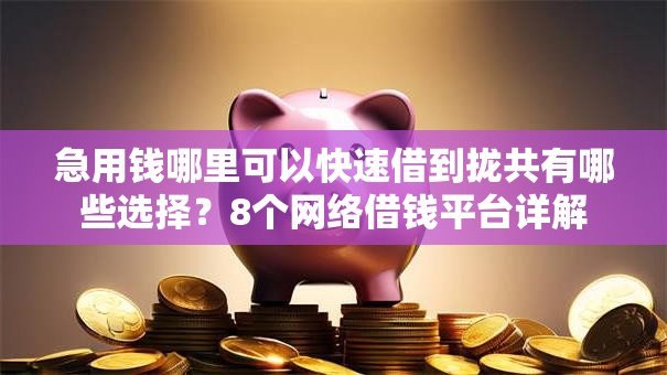 急用钱哪里可以快速借到拢共有哪些选择?8个网络借钱平台详解 急用钱哪里可以快速借到拢共有哪些选择?8个网络借钱平台详解
