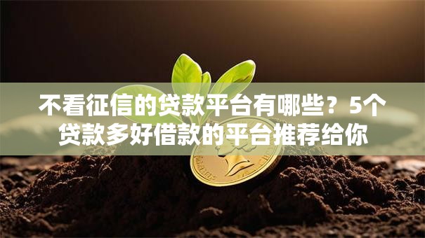 不看征信的贷款平台有哪些？5个贷款多好借款的平台推荐给你