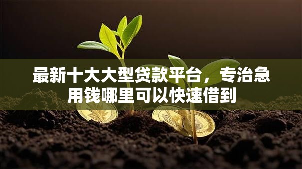 最新十大大型贷款平台,专治急用钱哪里可以快速借到 最新十大大型贷款平台,专治急用钱哪里可以快速借到