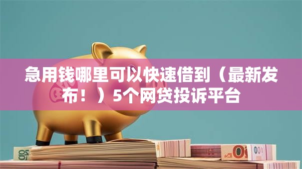 急用钱哪里可以快速借到(最新发布!)5个网贷投诉平台 急用钱哪里可以快速借到(最新发布!)5个网贷投诉平台