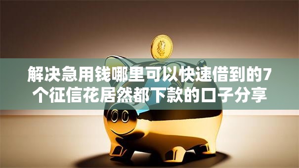 解决急用钱哪里可以快速借到的7个征信花居然都下款的口子分享