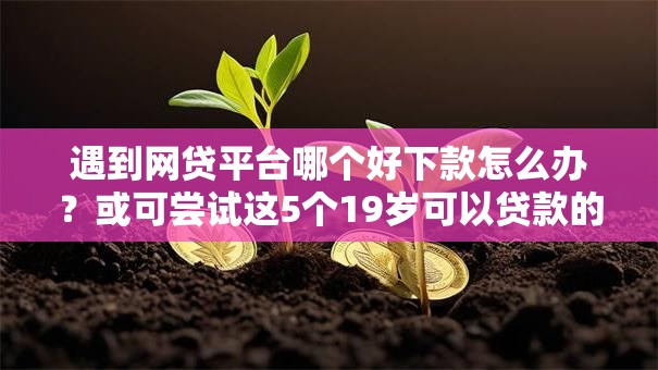 遇到网贷平台哪个好下款怎么办？或可尝试这5个19岁可以贷款的平台