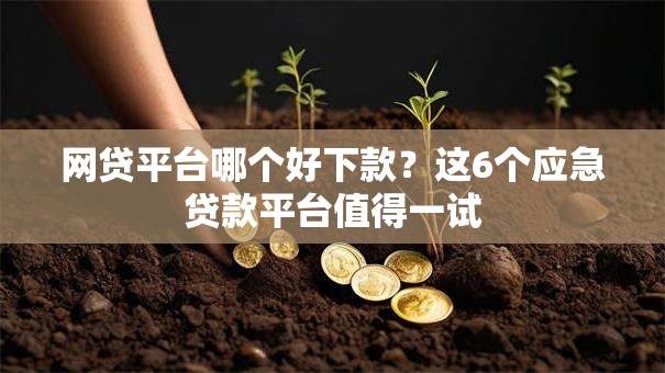 网贷平台哪个好下款？这6个应急贷款平台值得一试