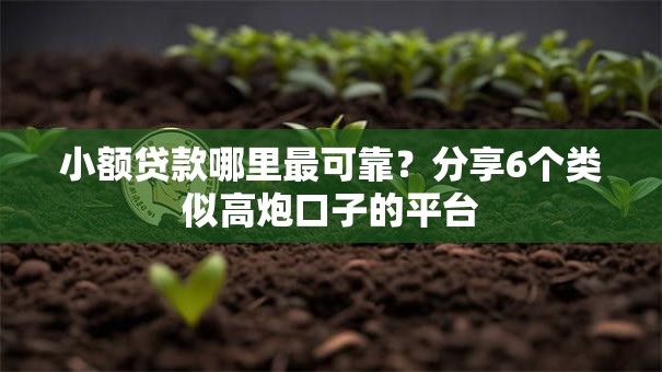 小额贷款哪里最可靠?分享6个类似高炮口子的平台 小额贷款哪里最可靠?分享6个类似高炮口子的平台