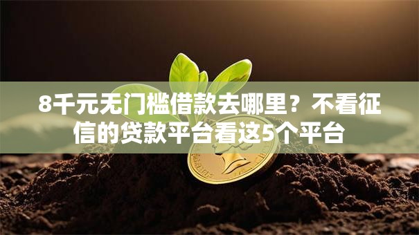8千元无门槛借款去哪里？不看征信的贷款平台看这5个平台