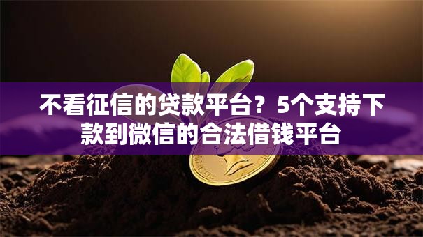 不看征信的贷款平台?5个支持下款到微信的合法借钱平台 不看征信的贷款平台?5个支持下款到微信的合法借钱平台
