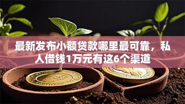 最新发布小额贷款哪里最可靠，私人借钱1万元有这6个渠道