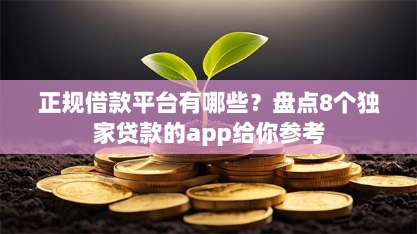 正规借款平台有哪些？盘点8个独家贷款的app给你参考