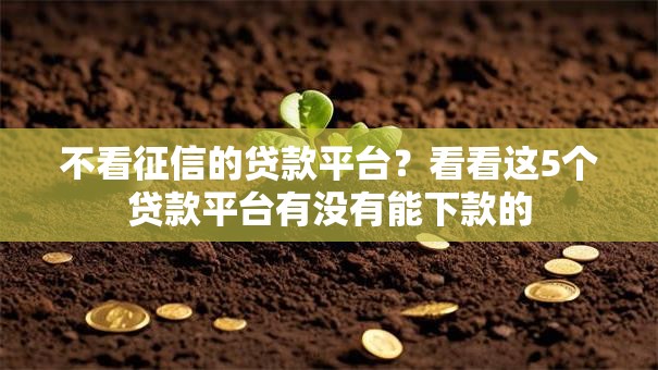 不看征信的贷款平台?看看这5个贷款平台有没有能下款的 不看征信的贷款平台?看看这5个贷款平台有没有能下款的