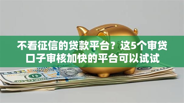 不看征信的贷款平台？这5个审贷口子审核加快的平台可以试试