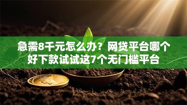 急需8千元怎么办？网贷平台哪个好下款试试这7个无门槛平台