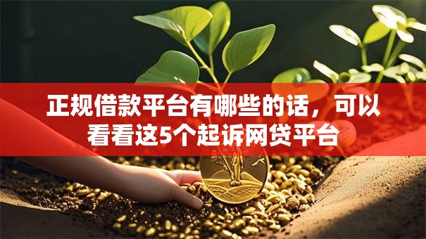 正规借款平台有哪些的话，可以看看这5个起诉网贷平台