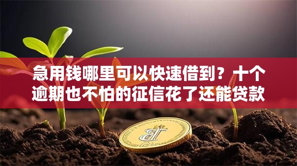 急用钱哪里可以快速借到?十个逾期也不怕的征信花了还能贷款的正规平台 急用钱哪里可以快速借到?十个逾期也不怕的征信花了还能贷款的正规平台