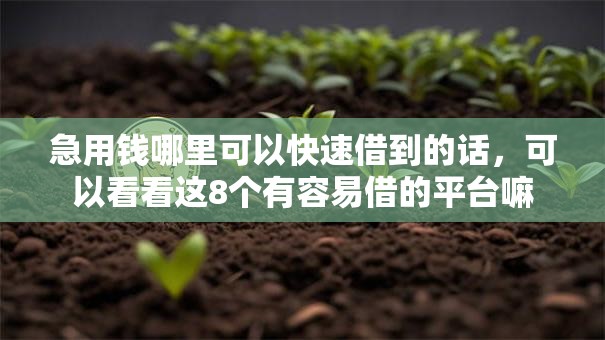 急用钱哪里可以快速借到的话,可以看看这8个有容易借的平台嘛 急用钱哪里可以快速借到的话,可以看看这8个有容易借的平台嘛