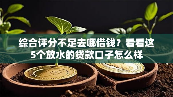 综合评分不足去哪借钱?看看这5个放水的贷款口子怎么样 综合评分不足去哪借钱?看看这5个放水的贷款口子怎么样