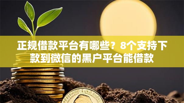 正规借款平台有哪些?8个支持下款到微信的黑户平台能借款 正规借款平台有哪些?8个支持下款到微信的黑户平台能借款