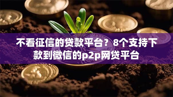 不看征信的贷款平台？8个支持下款到微信的p2p网贷平台
