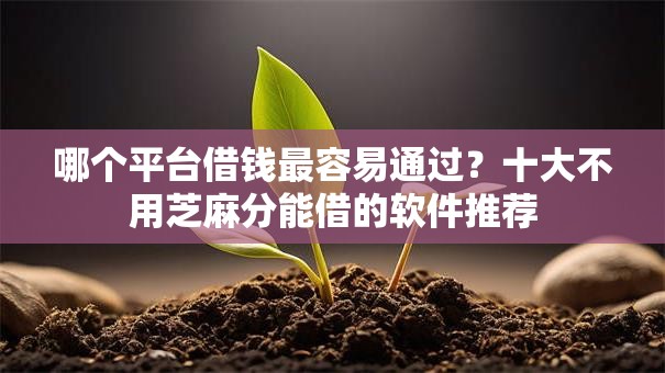哪个平台借钱最容易通过?十大不用芝麻分能借的软件推荐 哪个平台借钱最容易通过?十大不用芝麻分能借的软件推荐