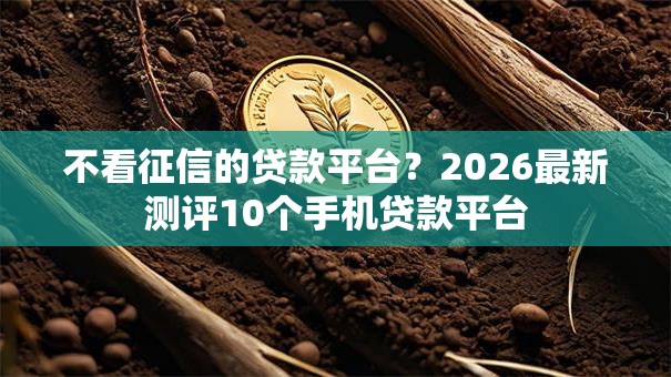 不看征信的贷款平台?2026最新测评10个手机贷款平台 不看征信的贷款平台?2026最新测评10个手机贷款平台