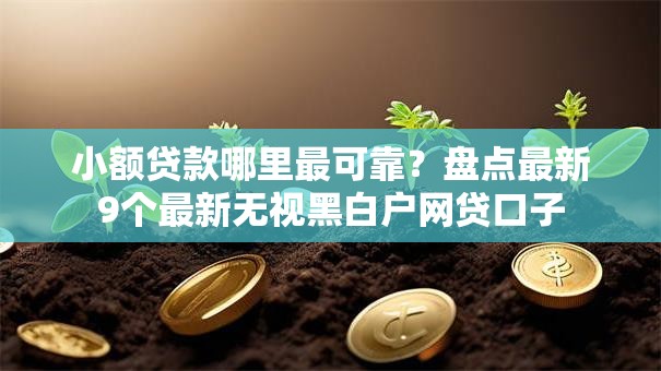 小额贷款哪里最可靠?盘点最新9个最新无视黑白户网贷口子 小额贷款哪里最可靠?盘点最新9个最新无视黑白户网贷口子