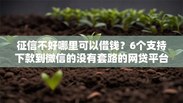 征信不好哪里可以借钱?6个支持下款到微信的没有套路的网贷平台 征信不好哪里可以借钱?6个支持下款到微信的没有套路的网贷平台