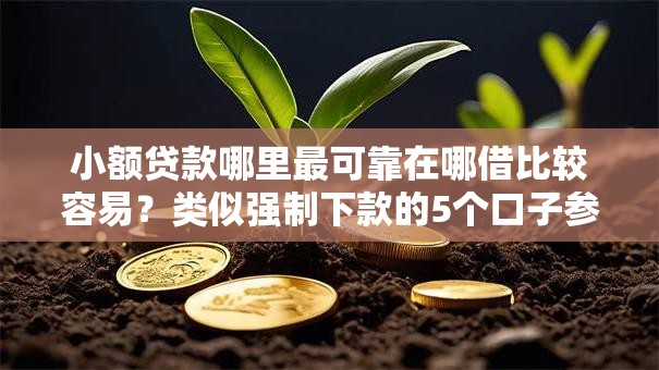 小额贷款哪里最可靠在哪借比较容易？类似强制下款的5个口子参考
