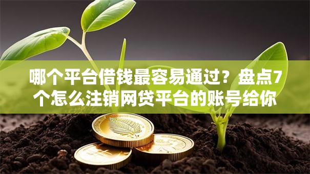 哪个平台借钱最容易通过?盘点7个怎么注销网贷平台的账号给你参考 哪个平台借钱最容易通过?盘点7个怎么注销网贷平台的账号给你参考