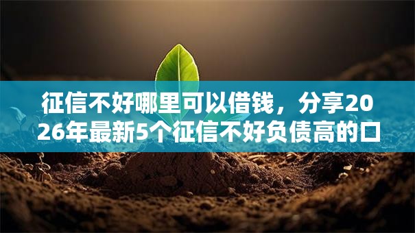 征信不好哪里可以借钱，分享2026年最新5个征信不好负债高的口子