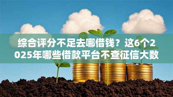 综合评分不足去哪借钱?这6个2025年哪些借款平台不查征信大数据值得一试 综合评分不足去哪借钱?这6个2025年哪些借款平台不查征信大数据值得一试