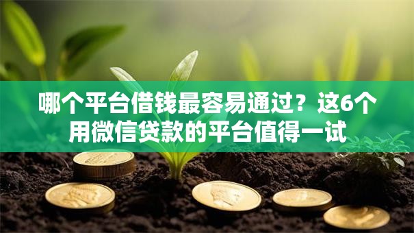 哪个平台借钱最容易通过?这6个用微信贷款的平台值得一试 哪个平台借钱最容易通过?这6个用微信贷款的平台值得一试