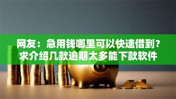 网友:急用钱哪里可以快速借到?求介绍几款逾期太多能下款软件 网友:急用钱哪里可以快速借到?求介绍几款逾期太多能下款软件
