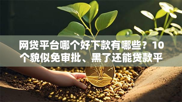 网贷平台哪个好下款有哪些？10个貌似免审批、黑了还能贷款平台合集
