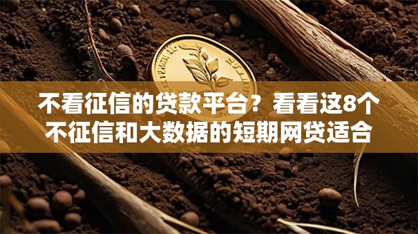 不看征信的贷款平台？看看这8个不征信和大数据的短期网贷适合58岁的平台怎么样