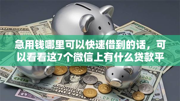 急用钱哪里可以快速借到的话，可以看看这7个微信上有什么贷款平台