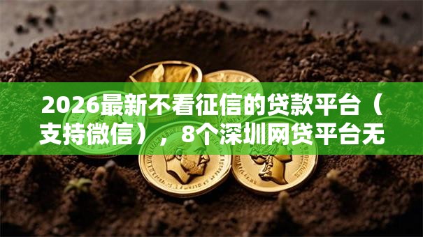 2026最新不看征信的贷款平台(支持微信),8个深圳网贷平台无私分享 2026最新不看征信的贷款平台(支持微信),8个深圳网贷平台无私分享