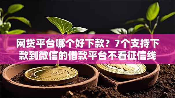 网贷平台哪个好下款?7个支持下款到微信的借款平台不看征信线上放款快 网贷平台哪个好下款?7个支持下款到微信的借款平台不看征信线上放款快