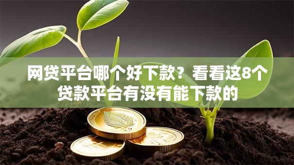 网贷平台哪个好下款?看看这8个贷款平台有没有能下款的 网贷平台哪个好下款?看看这8个贷款平台有没有能下款的