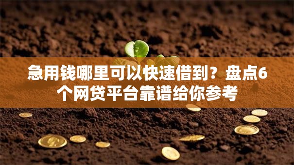 急用钱哪里可以快速借到?盘点6个网贷平台靠谱给你参考 急用钱哪里可以快速借到?盘点6个网贷平台靠谱给你参考